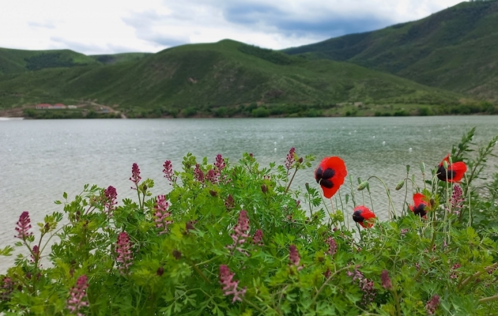 Suqovuşandan son görüntülər