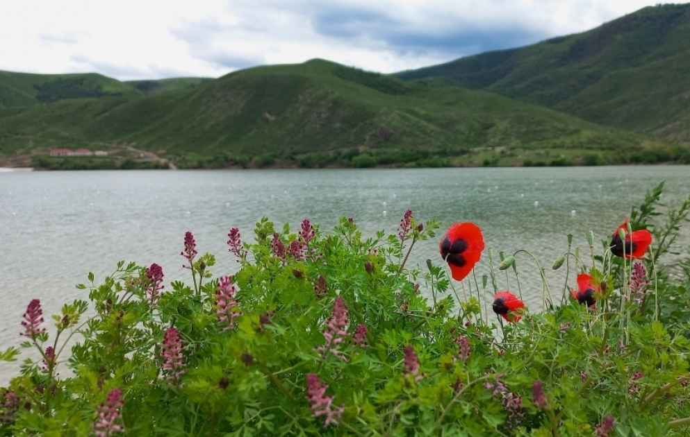 Живописные пейзажи Суговушана