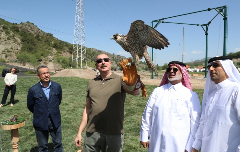 Laçın rayonunda Şərqi Qafqaz turları və şahin quşları təbiətə, müxtəlif növ balıqlar Həkəri çayına buraxılıb