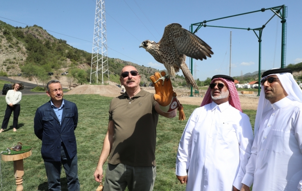East Caucasian turs, falcons were released into the wild, different species of fish into Hakari river