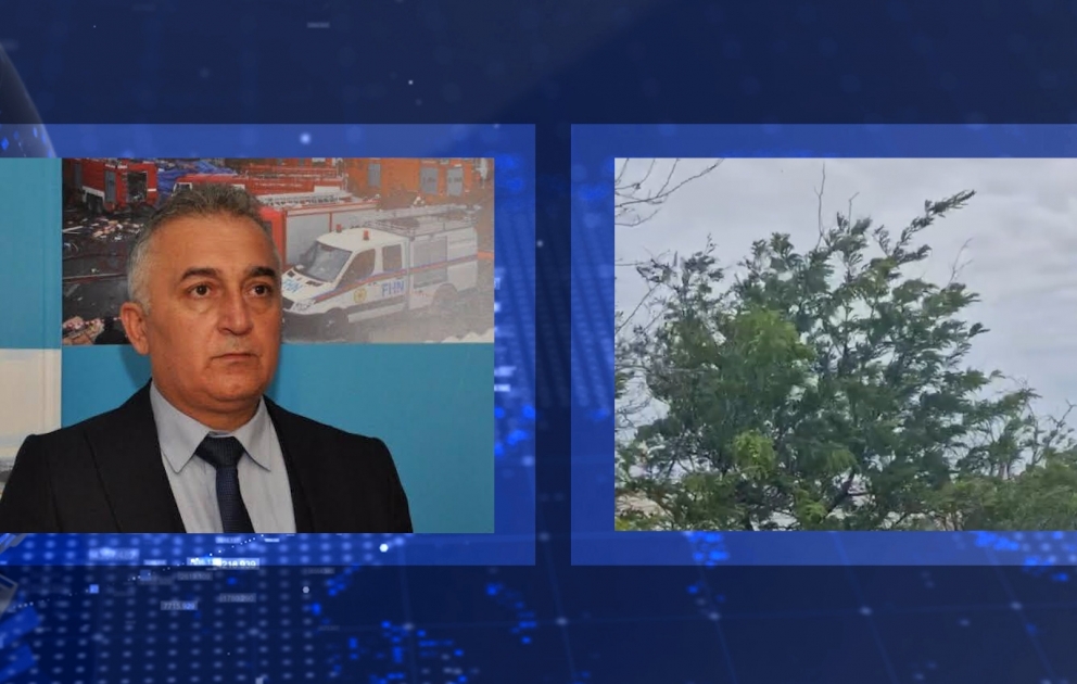 Sabunçuda ağaclıq ərazidə baş vermiş yanğın söndürülüb