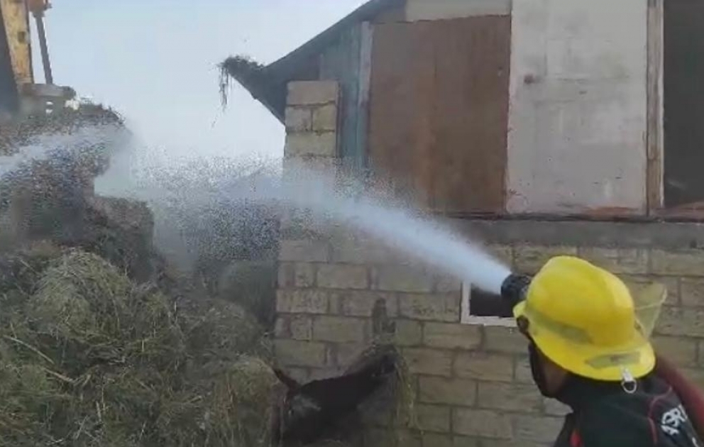В Зардабе возник пожар на приусадебном участке частного дома