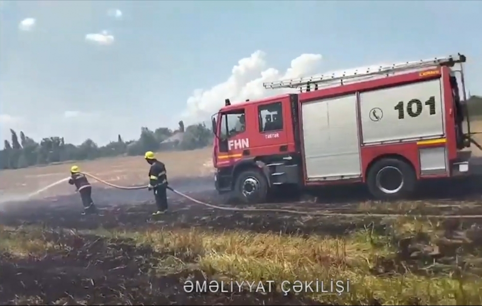 Tərtər rayonundakı taxıl sahəsində yanğın baş verib