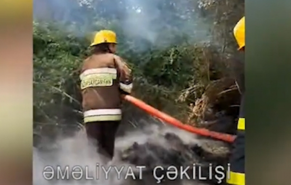 Xaçmazda taxıl sahəsi və meşə ərazisi yanıb