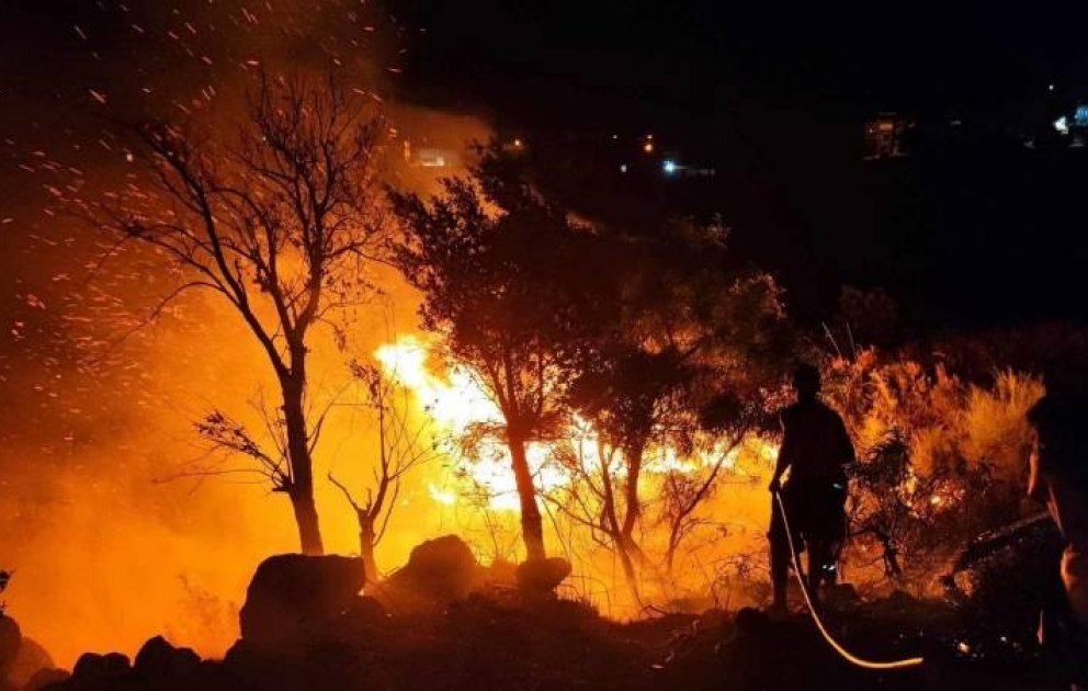 Əlcəzairdə meşə yanğınlarında ölənlərin sayı 34 nəfərə çatıb