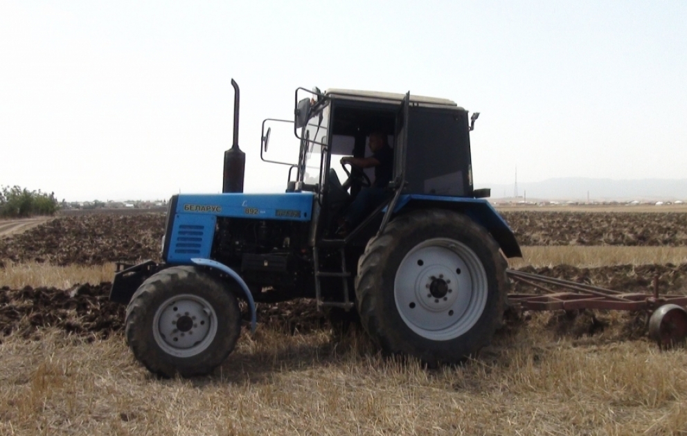 Cəlilabadda yay şumu davam edir