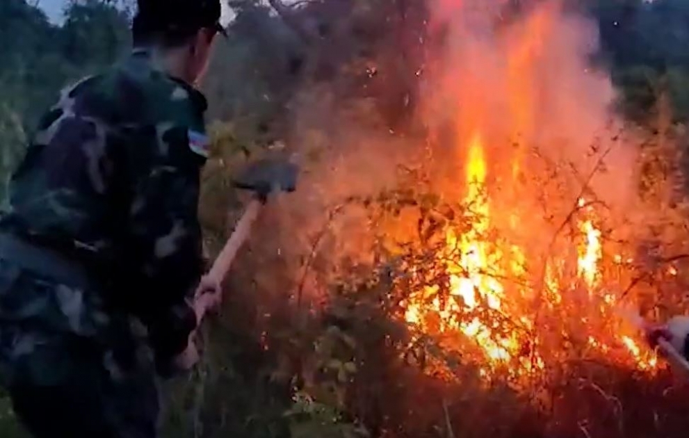В селе Сибироба Хачмазского района произошел пожар