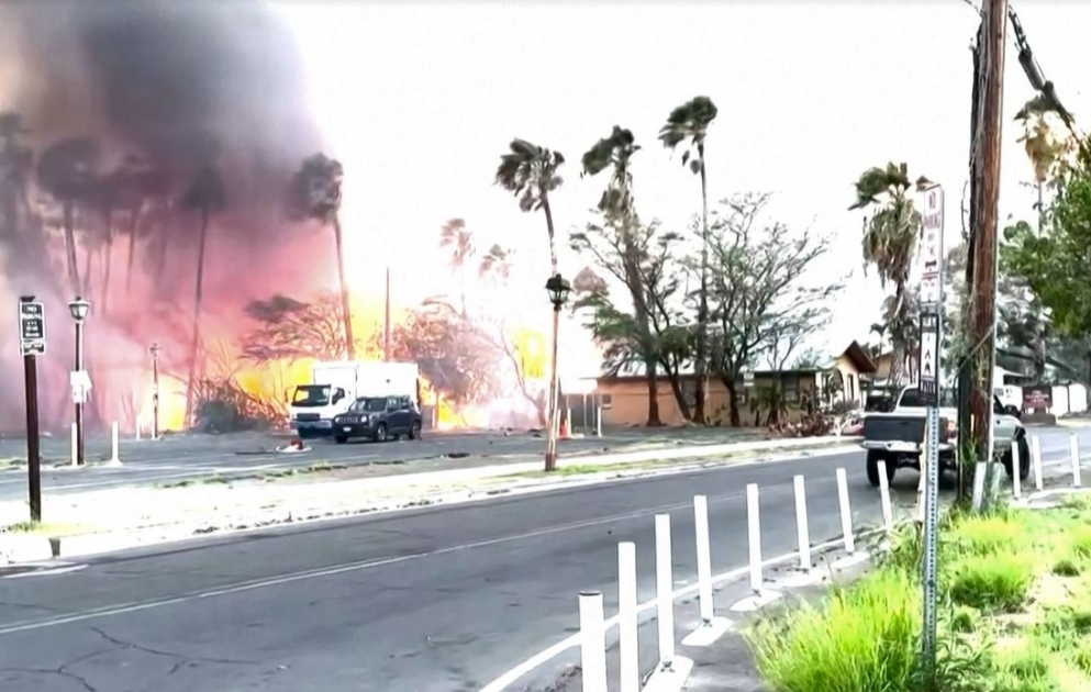 Mehr als 50 Tote bei verheerenden Feuern auf Hawaii