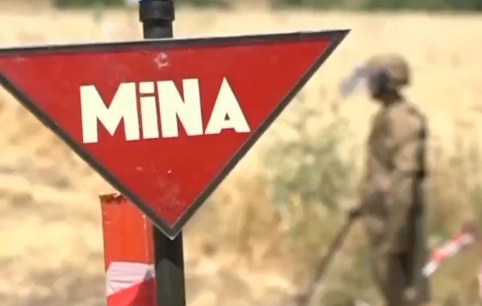 Prezidentin köməkçisi: Ermənistan işğaldan azad edilən ərazilərə bir milyondan çox mina yerləşdirib