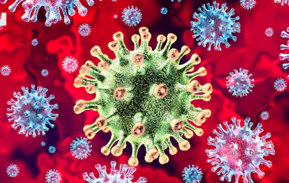 Yeni virus - EG.5