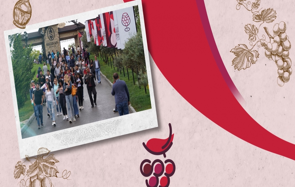 Şamaxı Üzüm və Şərab Festivalına hazırlaşır