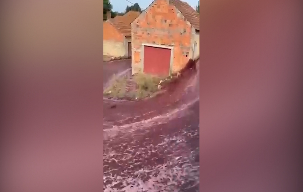 Portuqaliya küçələrində şərab seli