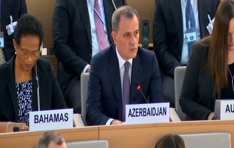 Azerbaijani FM: We are concerned about growing trend of intolerance, discrimination and Islamophobia in world