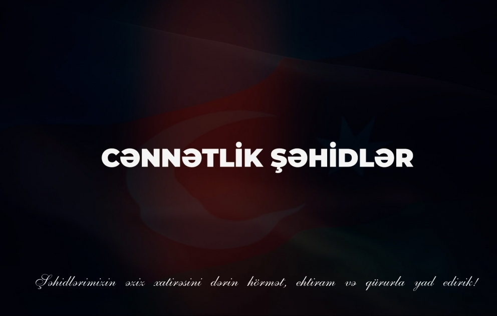 Bu Vətən sizə minnətdardır
