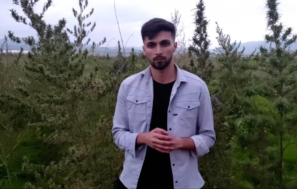 Xocalının Təzəbinə kəndində çətənə kolu plantasiyası aşkarlanıb