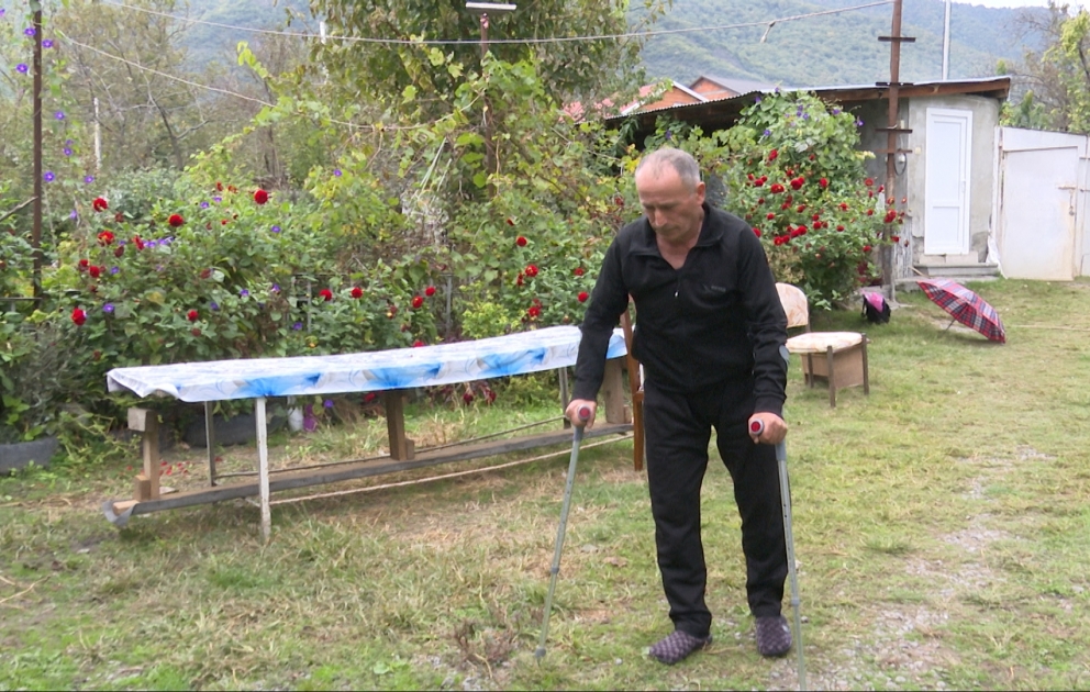 Qaxda ayı rayon sakininə hücum etdi