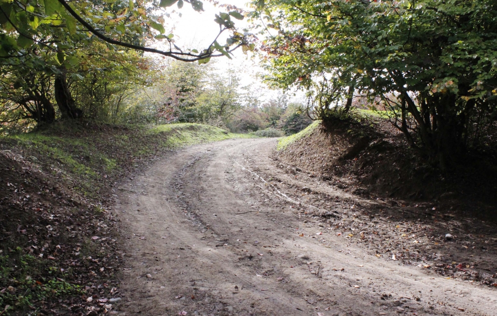 Cəlilabadda yol problemi: Rəsmilər məsələnin həll olunacağını bildirir