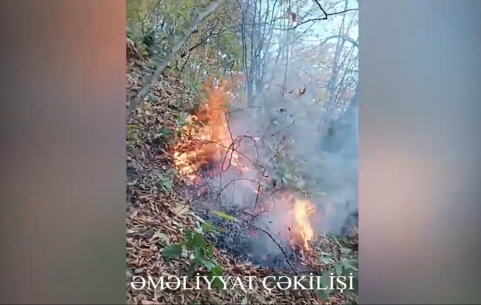 Şahdağ Milli Parkında yanğın