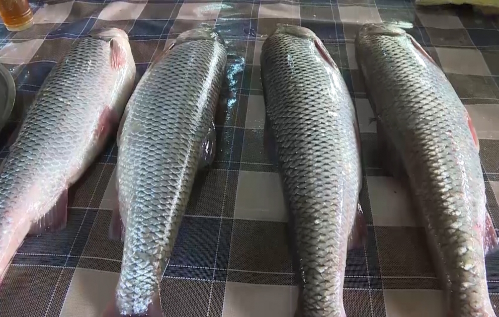 Lənkəran balıq bazarında canlanma var