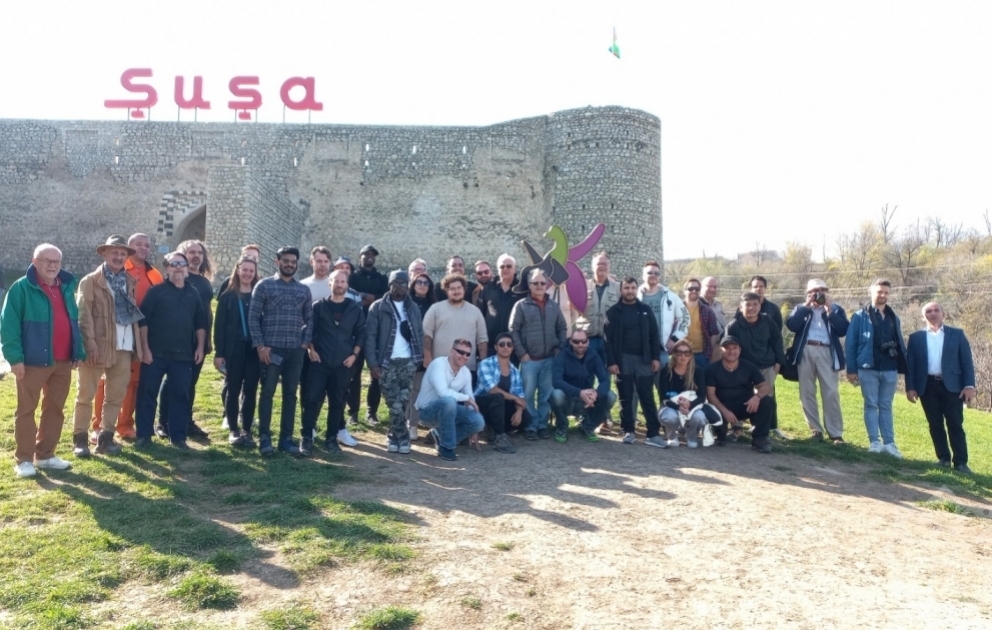 Déplacement des voyageurs internationaux à Choucha