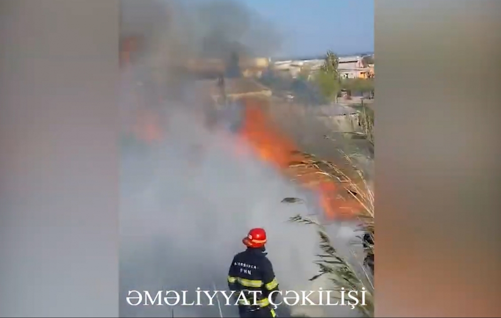 Bakıda qamışlıq sahədə baş verən yanğın söndürülüb