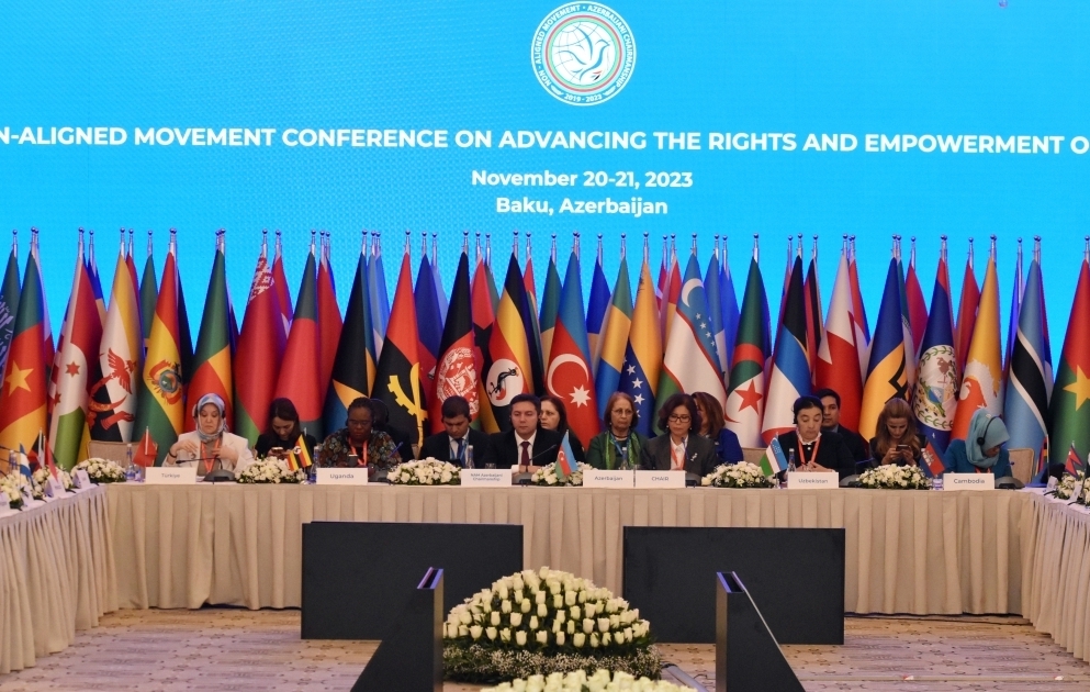 Azərbaycan qadınların və uşaqların hüquqlarının müdafiəsi sahəsində bir çox ölkələrə nümunədir