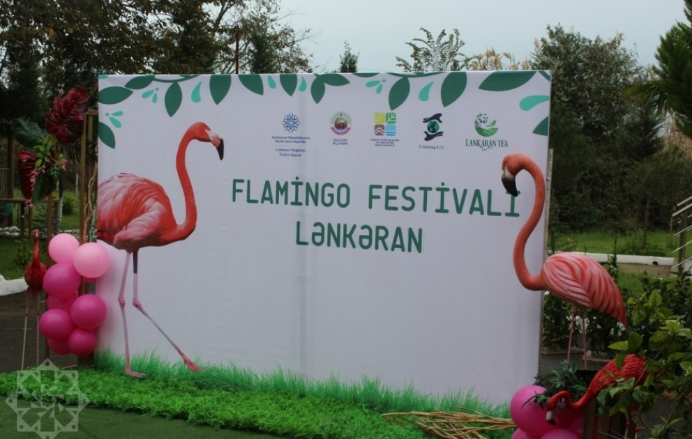 Qızılağac Milli Parkında ilk dəfə “Flaminqo festivalı” keçirilir