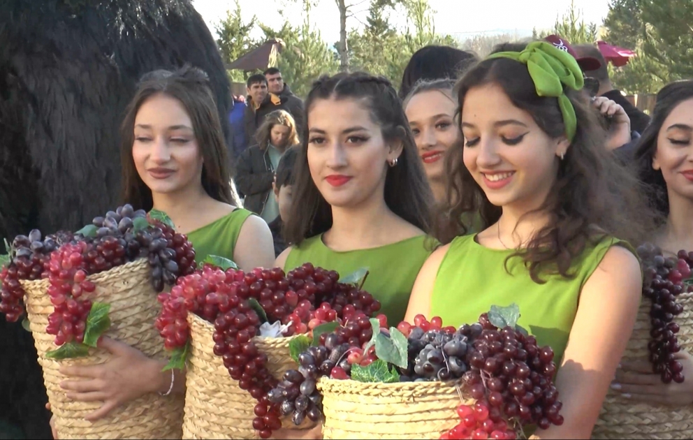 Şamaxıda İkinci Üzüm və Şərab Festivalına start verilib