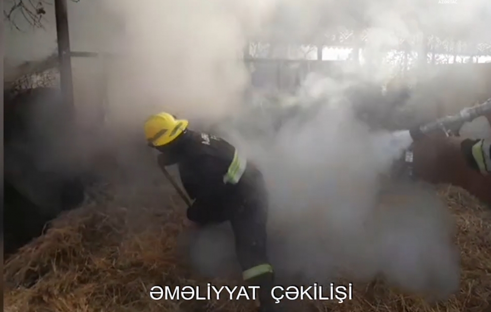 FHN: Sutka ərzində 26 yanğına çıxış olub