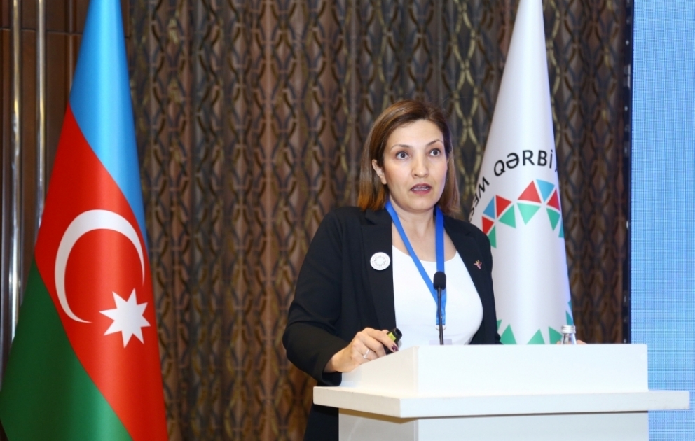 Türk professor: İrəvandakı Azərbaycan izləri məqsədli şəkildə silinib