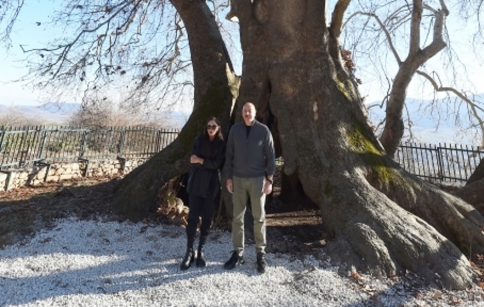 President Ilham Aliyev viewed "Chinar sacred place" monument complex in village of Shikh Dursun of Khojavand district