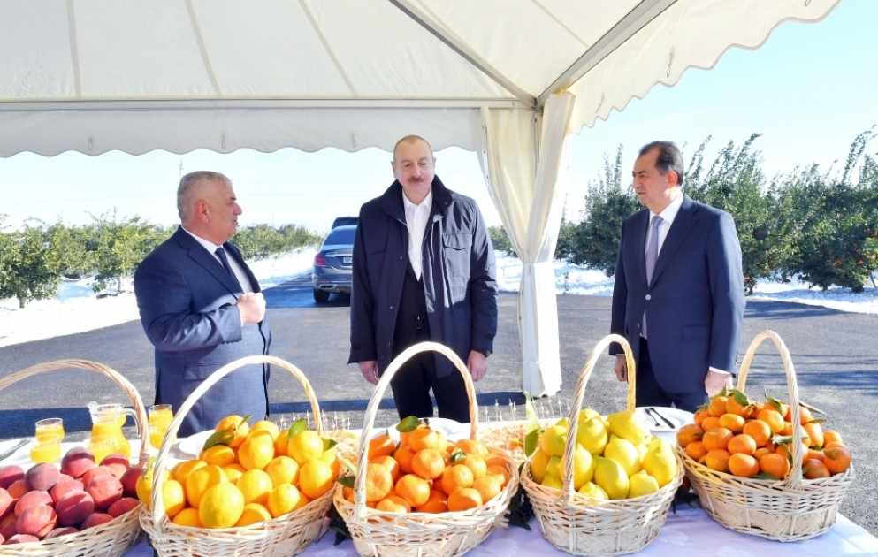 Prezident İlham Əliyevin Lənkəran rayonuna səfəri 
“Lenk Fruit” MMC-nin sitrus bağında yaradılan şəraitlə tanışlıq