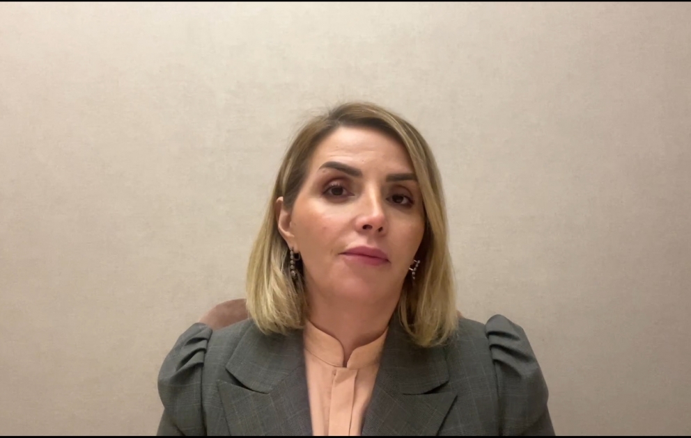 AŞPA-da Azərbaycan nümayəndə heyətinə qarşı səslənən heç bir ifadə doğru deyil