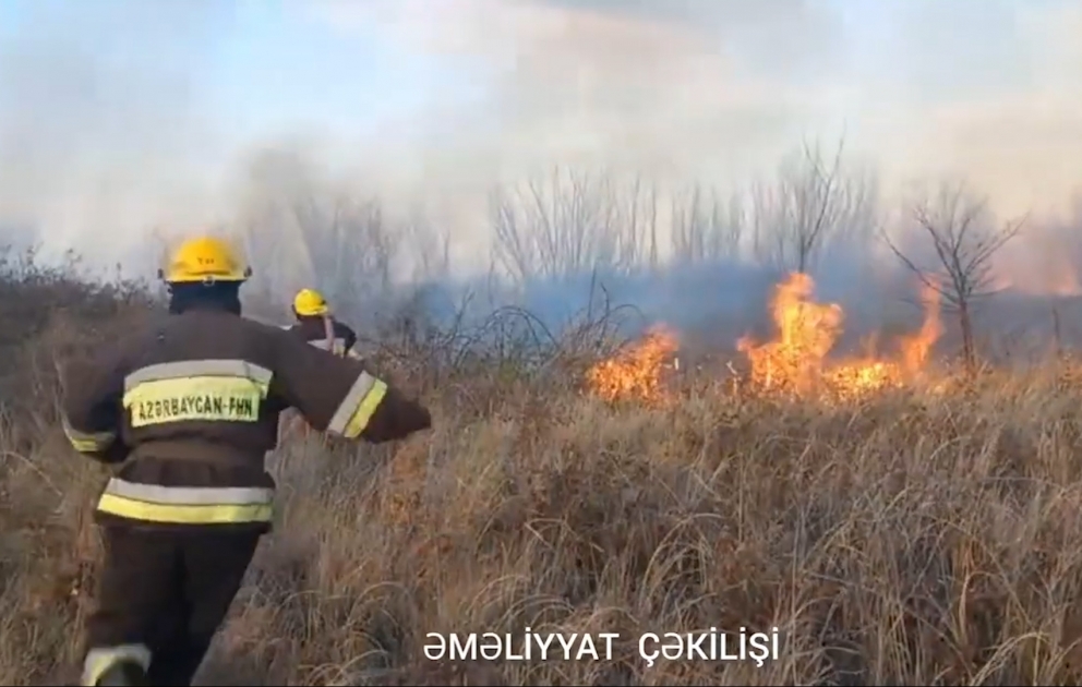 Tərtərin Mamırlı kəndində yanğın olub