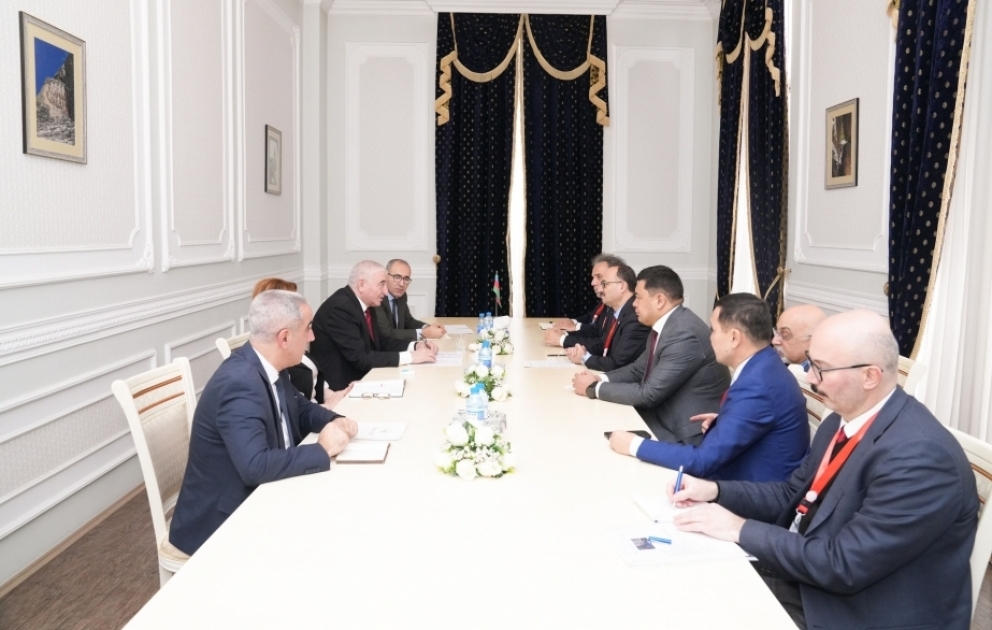Chairman of Central Election Commission meets with TURKPA delegation