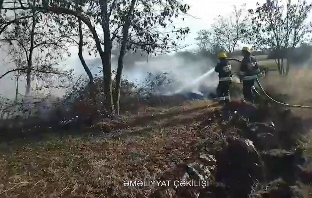 Tərtərin Gülabadlı kəndində yanğın olub