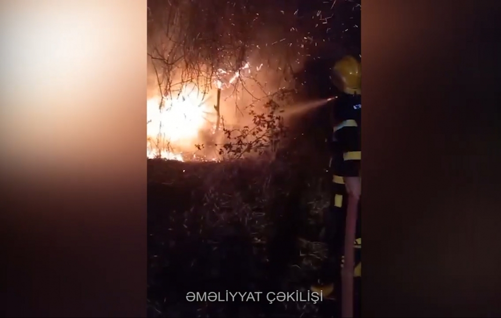 Samuxda açıq ərazidə yanğın baş verib