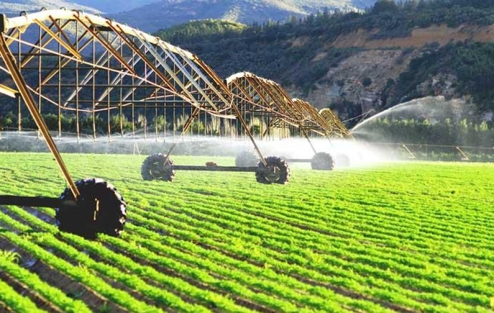 Ölkəmizin regionlarında ümumi məhsul buraxılışında ciddi artım var