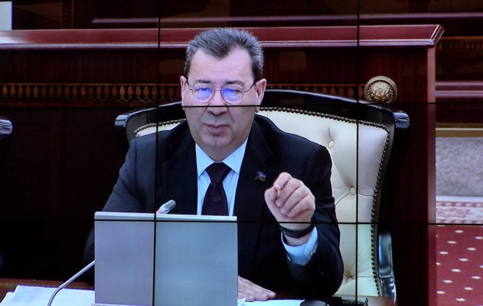 Səməd Seyidov: Avropada ikili standartlar böhranı yaşanır