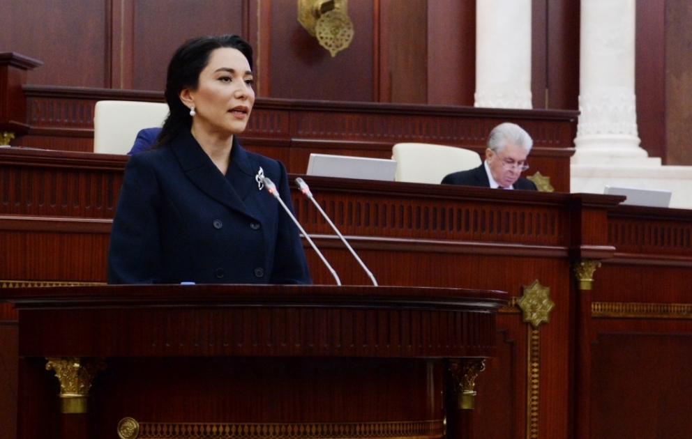 За 2023 год в адрес омбудсмена поступило 29 411 обращений