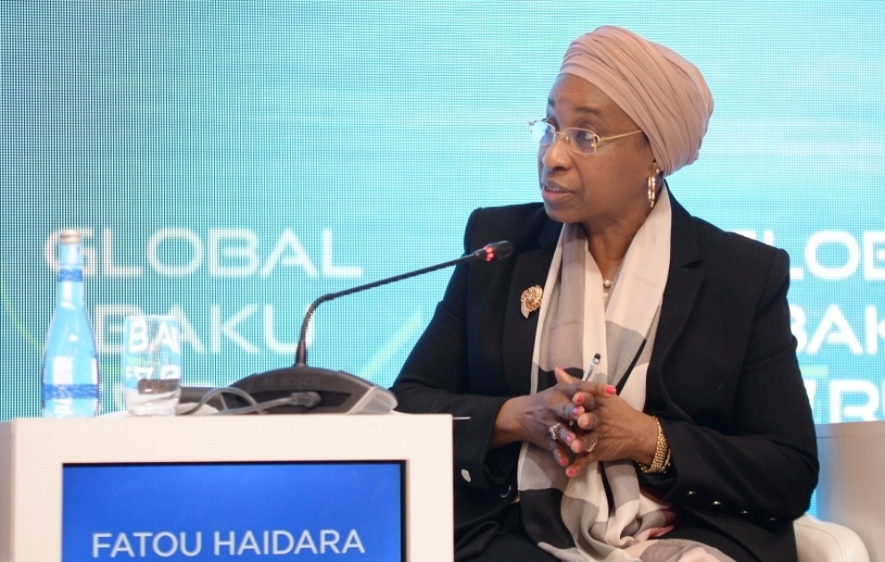 BMT nümayəndəsi: COP29-un qarşısında çox çətin məsələlərin həlləri dayanır