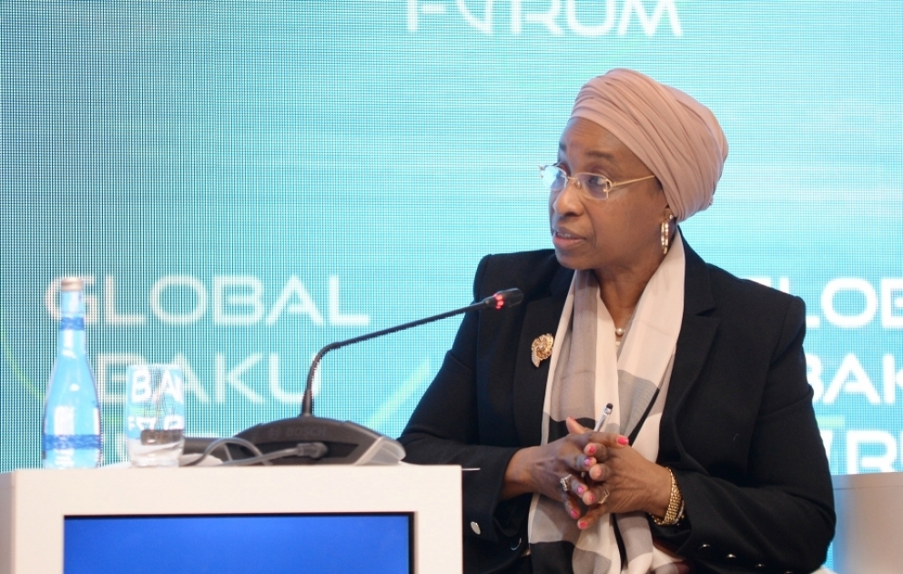 Fatou Haidara: COP29 confronts challenges in addressing complex issues