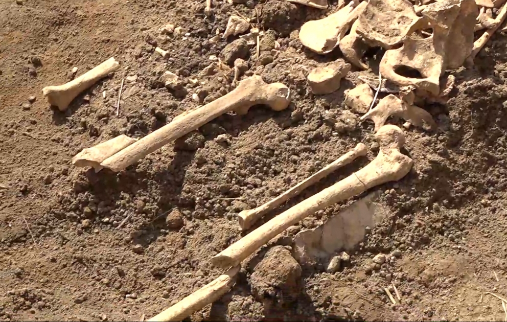 Xocalıda yenidən insan qalıqları aşkarlanıb
