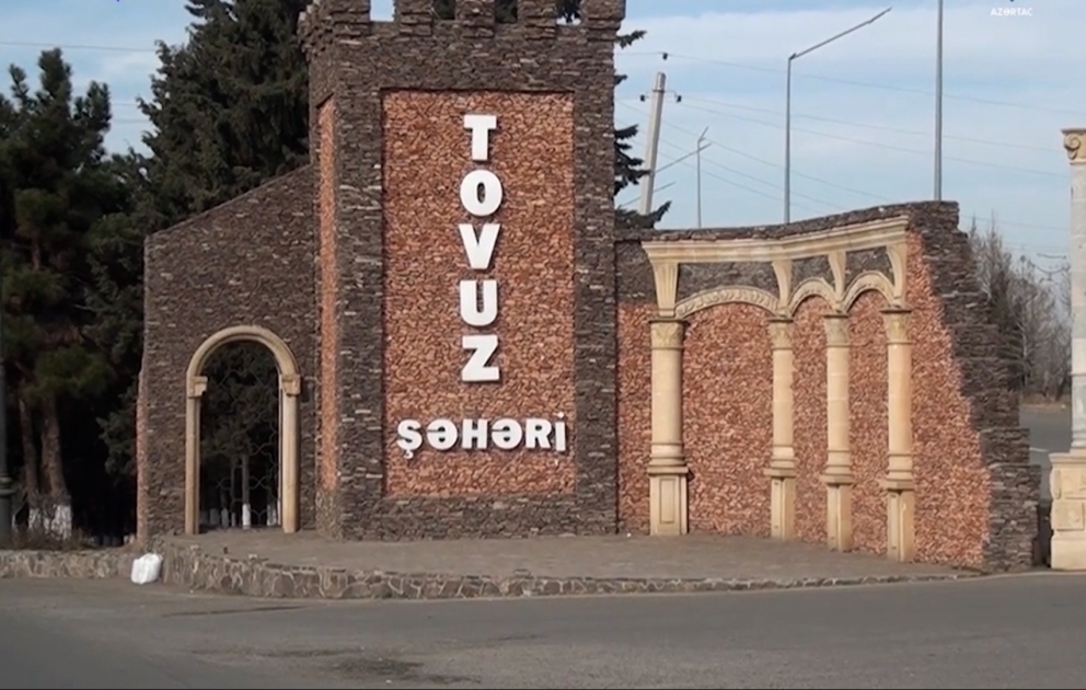 Tovuzda əqrəb kənd sakinini sancıb