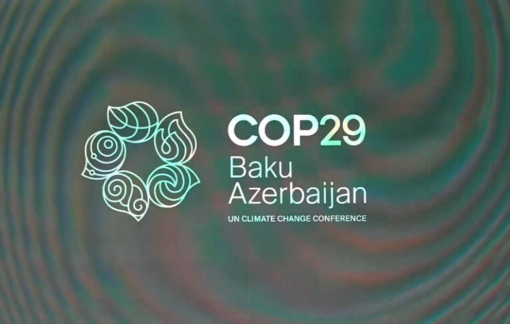 Логотип COP29 представлен общественности