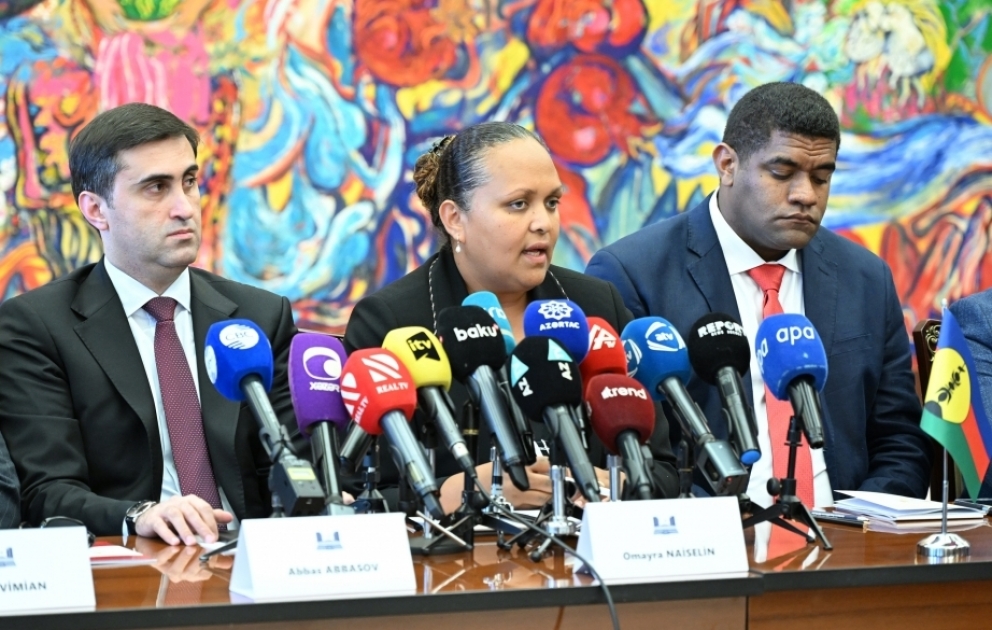 Omayra Naiselin: Müstəqillik uğrunda müxtəlif istiqamətlərdə mübarizə aparırıq