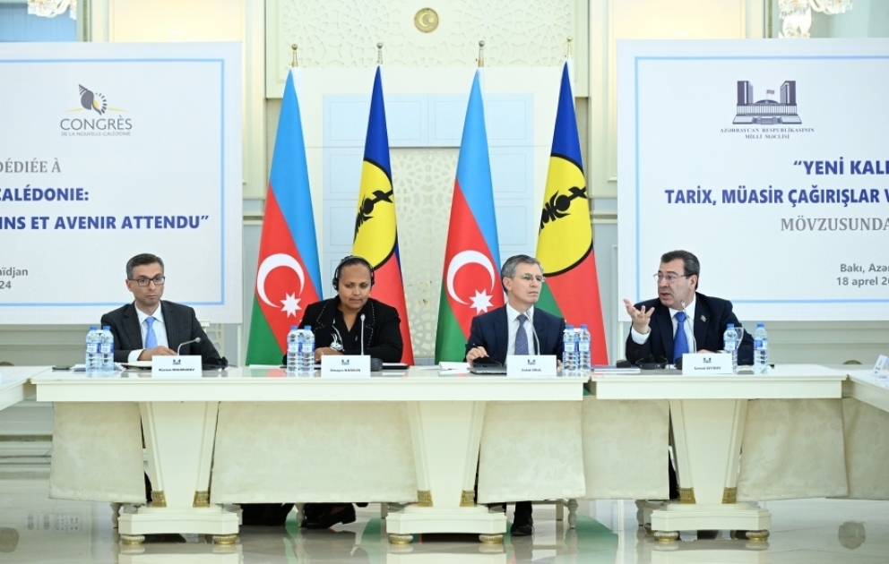 Komitə sədri: Azərbaycan Vətən müharibəsində Zəfəri ilə bir çox mətləbləri dünyaya çatdırdı