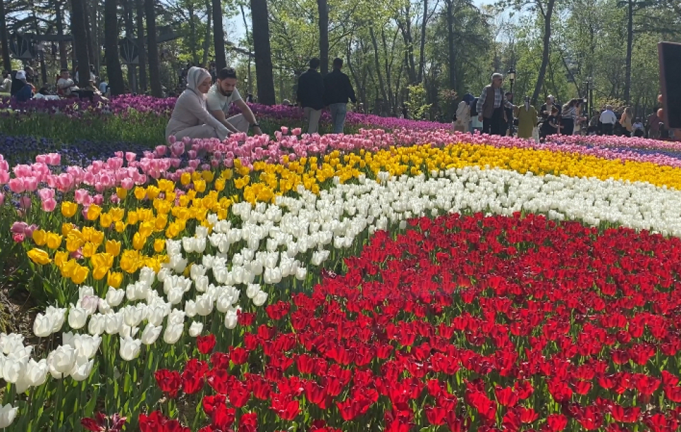 Aprel ayı İstanbulda daha bir Lalə Festivalı ilə yadda qalacaq