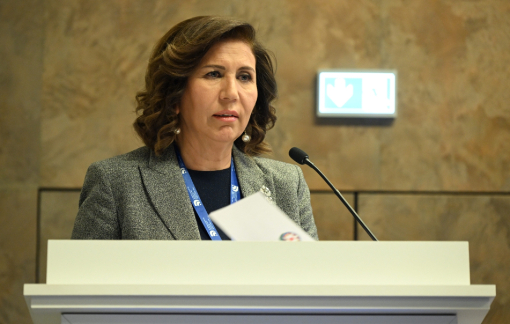Bahar Muradova: Azərbaycan sülh çağırışlarını növbəti dəfə dünyaya bəyan edir