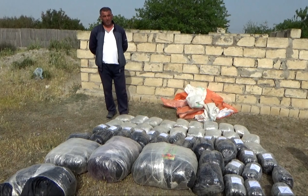 Ölkəyə 87 kiloqram narkotik maddə gətirən Neftçala rayon sakini saxlanılıb